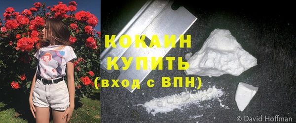 первитин Няндома
