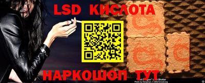 винт Донецк