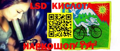 винт Донецк