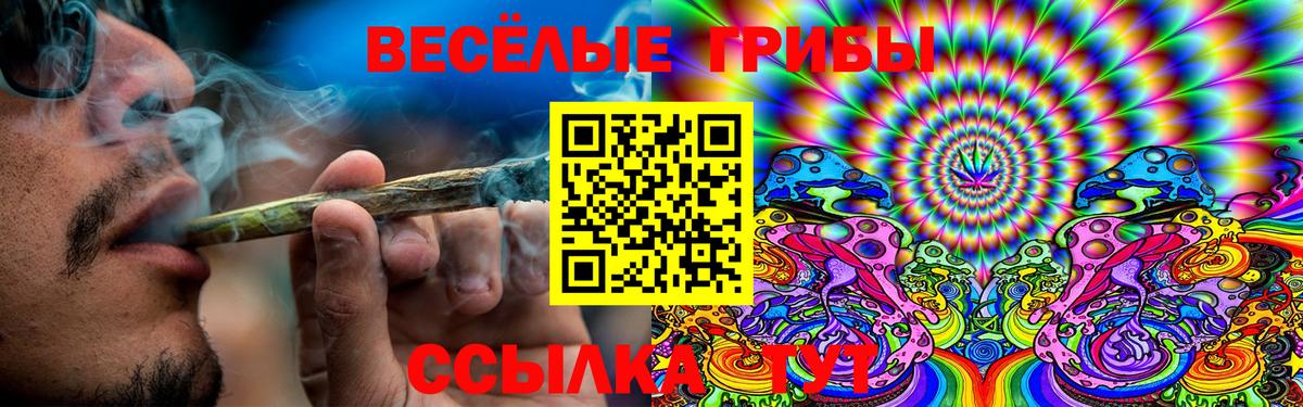 Кунгур  Псилоцибиновые грибы мухоморы  Вход с VPN  Псилоцибиновые грибы GOLDEN TEACHER 