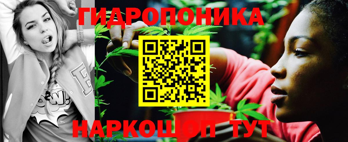 Кунгур  Хэш  Купить наркоту  Вход с VPN  Марихуана  МЕФ  МЕФ  НБОМе  Конопля  Hash Oil  Cocaine 