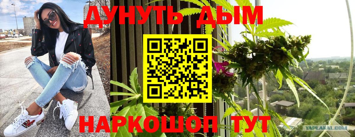 Кунгур  Канабис сатива  Вход с VPN  Каннабис LSD WEED 